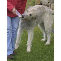 BASICNATURE Squeeze Tubes pour chiens