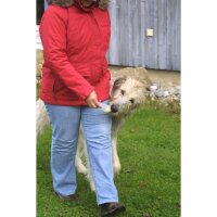 BASICNATURE Squeeze Tubes pour chiens