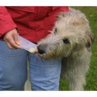 BASICNATURE Squeeze Tubes pour chiens