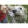BASICNATURE Squeeze Tubes pour chiens