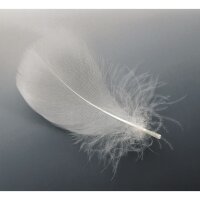 EUROSCHIRM Swing Liteflex - Regenschirm