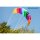 SCHILDKRÖT Cerf-volant Dual Line Sport Kite 1.3
