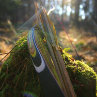 DRAKE ARCHERY ELITE Zorse - 54 Zoll - 20-45 lbs -...