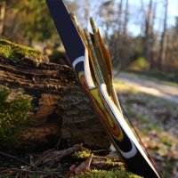 DRAKE ARCHERY ELITE Zorse - 54 Zoll - 20-45 lbs - Hybridbogen