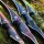 SPIDERBOWS Cloud - 64 pouces - 20-50 lbs - Arc hybride