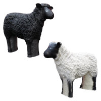 CENTER-POINT 3D Mouton