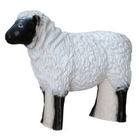 CENTER-POINT 3D Mouton