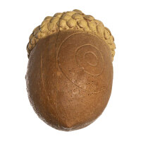 IBB 3D Gland