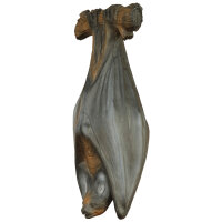 LONGLIFE Chien volant