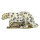 InForm 3D Schneeleopard