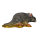 InForm 3D Graue Ratte