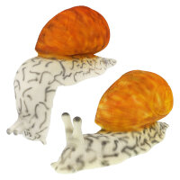 Escargot InForm 3D