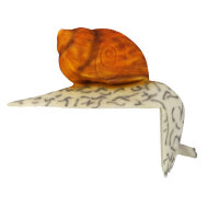 Escargot InForm 3D