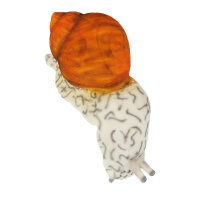 Escargot InForm 3D