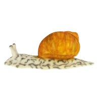 Escargot InForm 3D