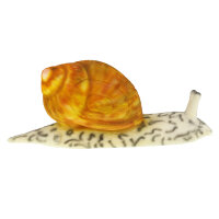 Escargot InForm 3D