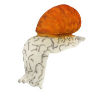 Escargot InForm 3D