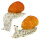 Escargot InForm 3D