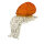 Escargot InForm 3D