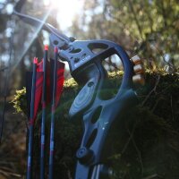 DRAKE Rivet - 60-64 pouces - 22-60 lbs - ILF - Arcs recurves T/D