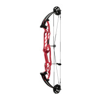 HOYT Stratos 36 HBT - 40-70 lbs - Arc à poulies