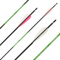 Carbonpfeil | SPHERE Slimline Pro - mit Vanes | Länge: 26 Zoll