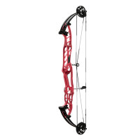 HOYT Stratos 36 SVX - 40-70 lbs - Arc %E0 poulies
