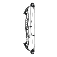 HOYT Stratos 36 SVX - 40-70 lbs - Arc %E0 poulies