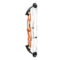 HOYT Stratos 36 SVX - 40-70 lbs - Arc %E0 poulies