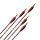 LithoSPHERE Traditionnel - Carbone - avec ressorts naturels - Spine 1300 | 20 pouces