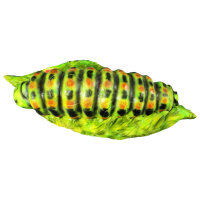 InForm 3D chenille - différentes couleurs