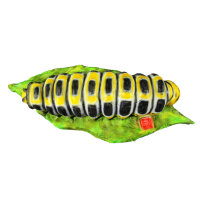 InForm 3D chenille - différentes couleurs