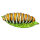 InForm 3D chenille - différentes couleurs