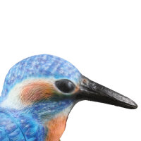 InForm 3D martin-pêcheur