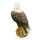 InForm 3D Aigle à tête blanche