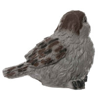 IBB 3D Jumbo Moineau