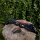 JACKALOPE Zircon - Ultimate - 66-70 pouces - 16-50 lbs - ILF - Arcs recurves T/D