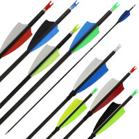 Tube | SPHERE Pioneer Slim - carbone 800|Plumes naturelles|