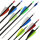 Komplettpfeil | SPHERE Pioneer 4.2 - Carbon - Naturfedern - Custom | Spine 800