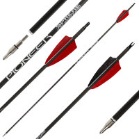 26-30 lbs | SPHERE Pioneer 6.2 - Carbon - Naturfedern -...