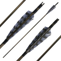 Komplettpfeil | BSW Medieval - Holz