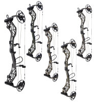 BEAR ARCHERY Persist - 45-70 lbs - Arc %E0 poulies