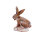 LONGLIFE Lapin zombie