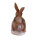 LONGLIFE Lapin zombie