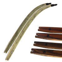 Branches | SPIDERBOWS - Hawk - SRF Design - Carbon -...