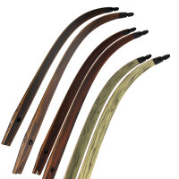 Branches | SPIDERBOWS - Hawk - SRF Design - Carbon -...