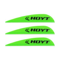 HOYT AAE Hybrid 26 - Plumes - 40 pièces
