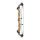 HOYT Concept X 40 - 40-70 lbs - Arc à poulies
