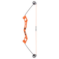 BEAR ARCHERY Valiant - 34 pouces - 7-16,5 lbs - Arc pour débutants