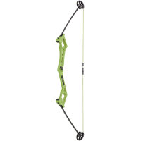 BEAR ARCHERY Valiant - 34 pouces - 7-16,5 lbs - Arc pour...